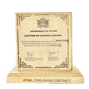 Custom engraved wooden appreciation plaque with Government of Sikkim certificate design and standing base from Khechuperi Bamboo House