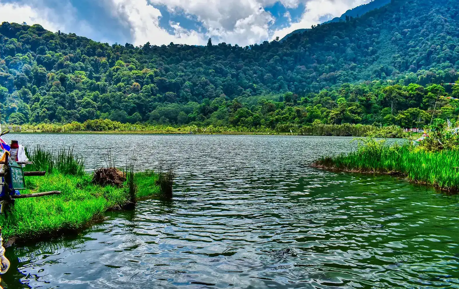 Khechuperi Lake in West Sikkim surrounded by green forest and hills.