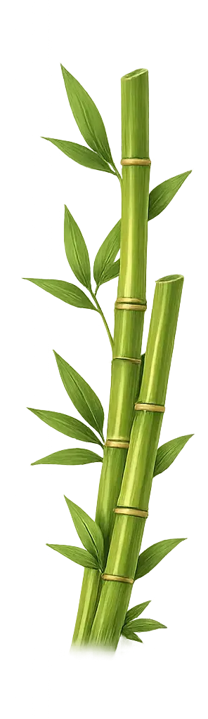 Fresh green bamboo stems with leaves, symbolising sustainable bamboo craft and nature-inspired design